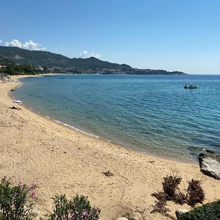 Irini Seaside Apartment PalaiónTsiflíkion Eksteriør bilde