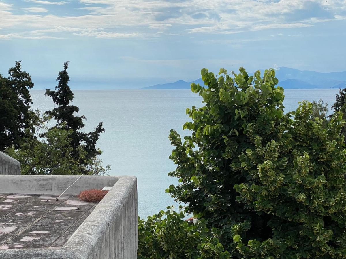 Irini Seaside Apartment PalaiónTsiflíkion Eksteriør bilde