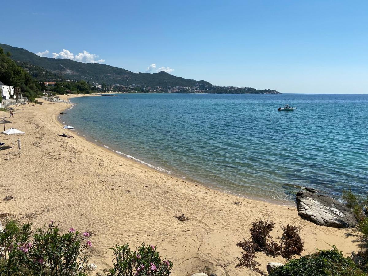 Irini Seaside Apartment PalaiónTsiflíkion Eksteriør bilde