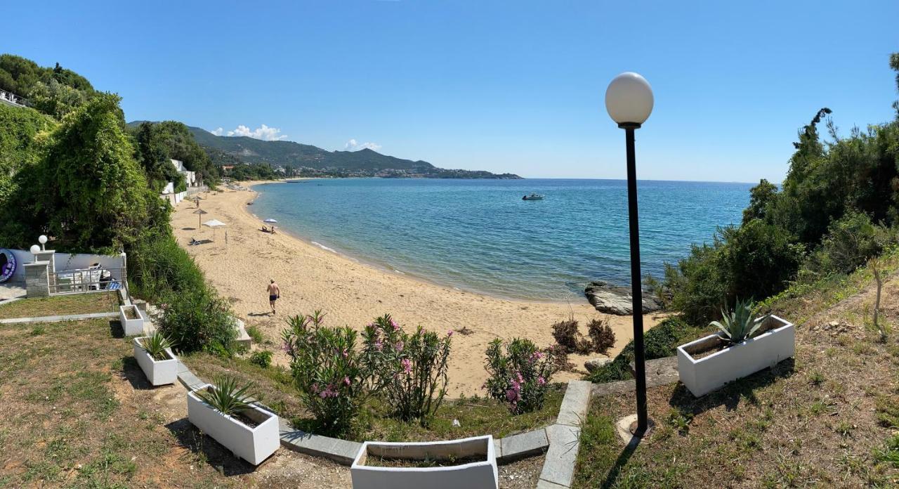 Irini Seaside Apartment PalaiónTsiflíkion Eksteriør bilde