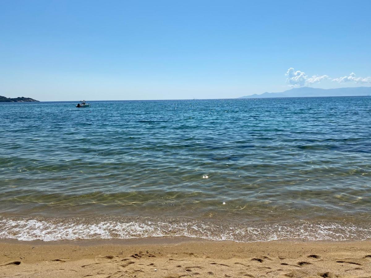 Irini Seaside Apartment PalaiónTsiflíkion Eksteriør bilde