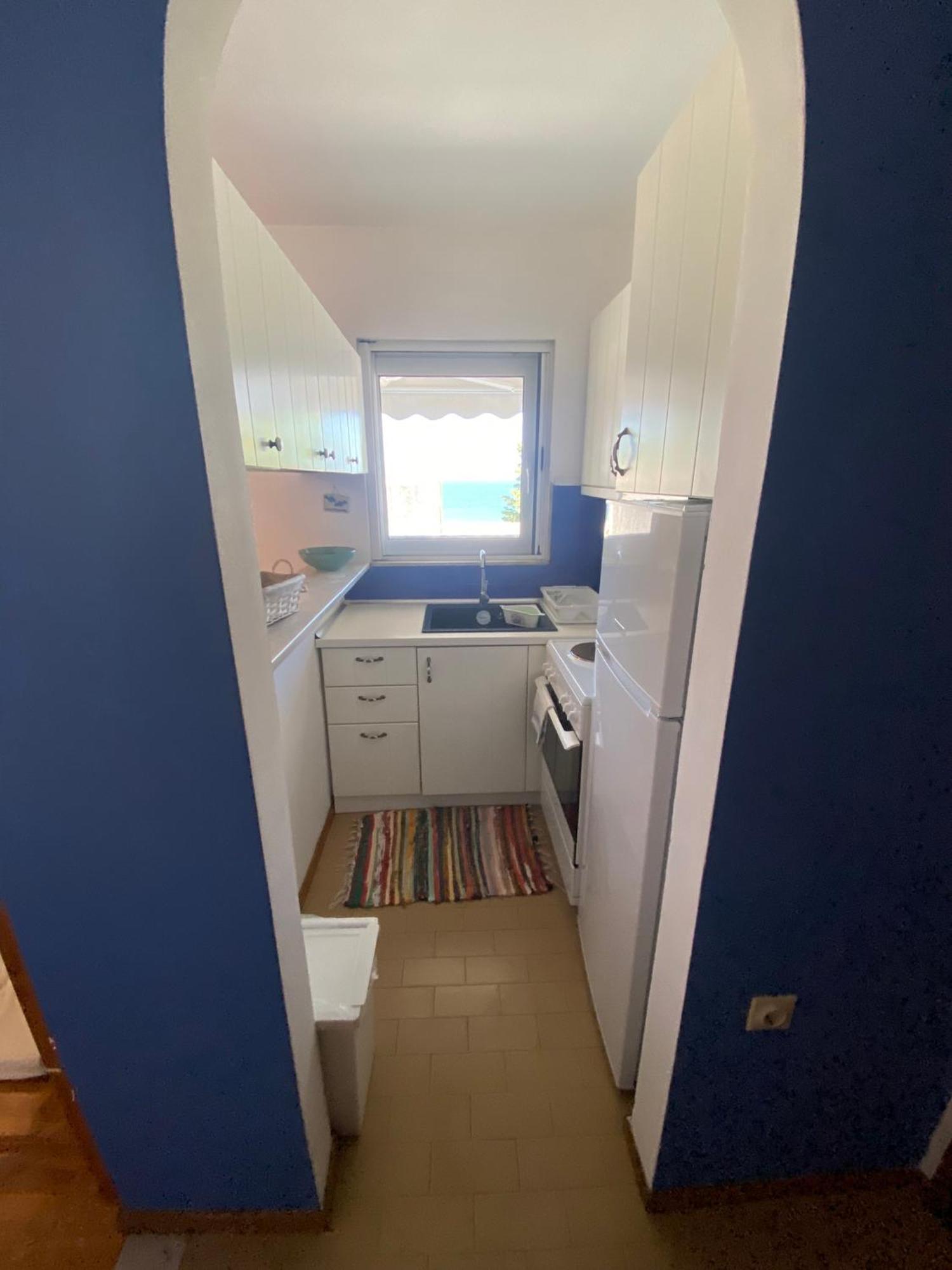 Irini Seaside Apartment PalaiónTsiflíkion Eksteriør bilde